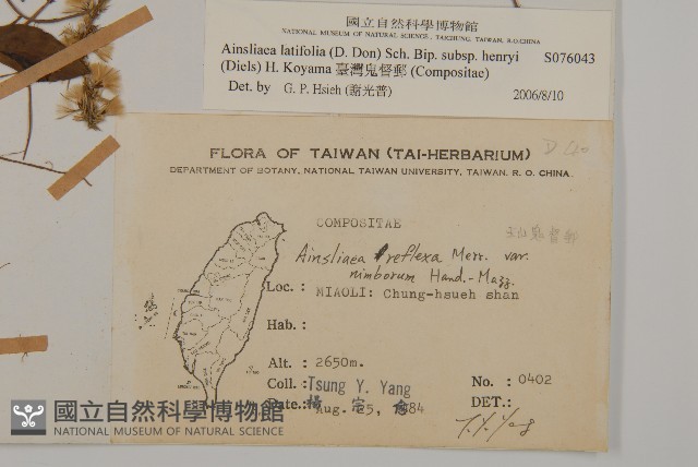 臺灣鬼督郵藏品圖，第2張
