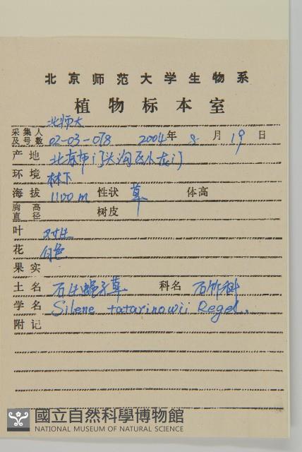 石生蠅子草、山女婁菜藏品圖，第2張