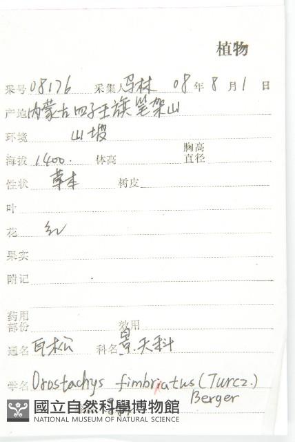 瓦松藏品圖，第2張