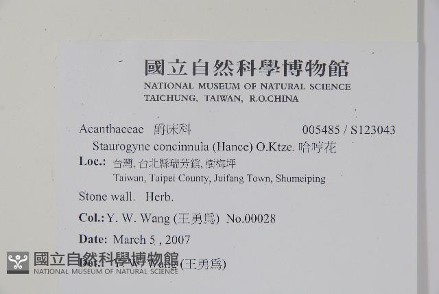 哈哼花藏品圖，第2張