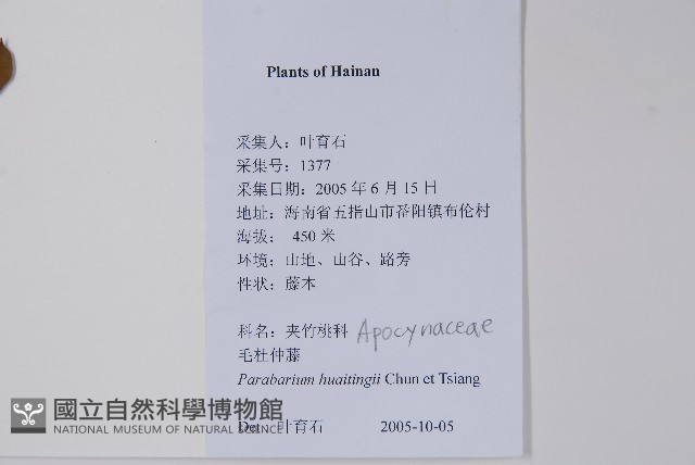 毛杜仲藤藏品圖，第2張