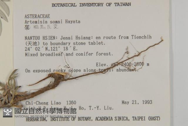 太魯閣艾藏品圖，第2張