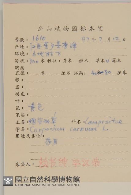 杓兒菜藏品圖，第2張