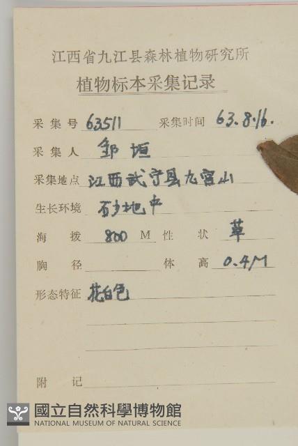 白朮藏品圖，第2張