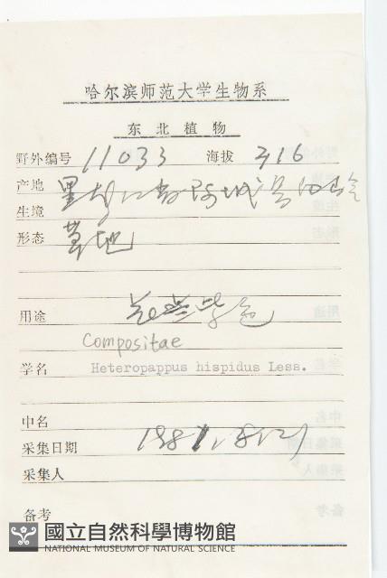 狗娃花藏品圖，第2張