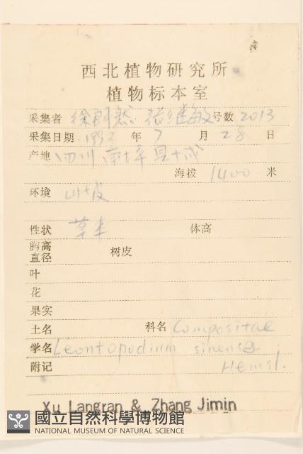 華火絨草藏品圖，第2張