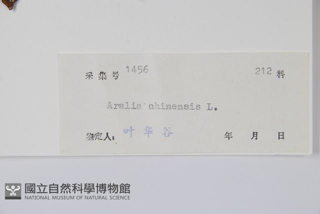 蔥木藏品圖，第2張