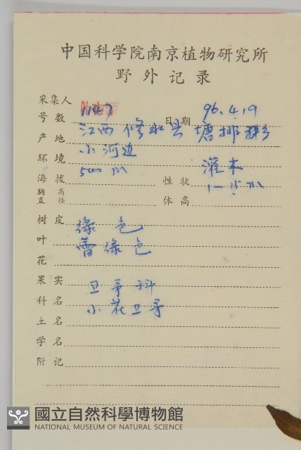 陳謀衛矛藏品圖，第2張