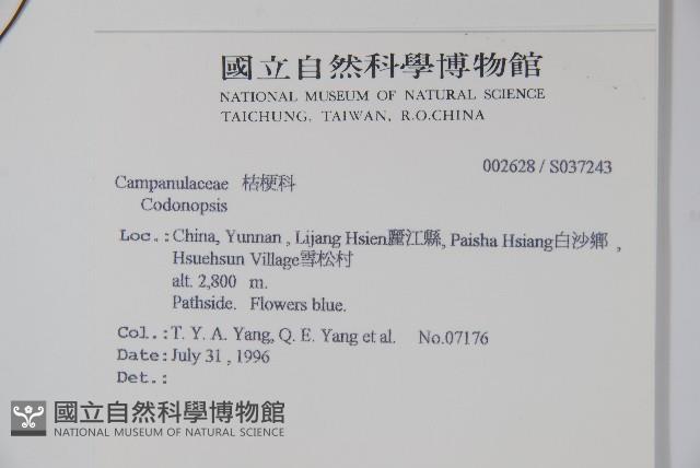 登錄號:S037243藏品圖，第2張