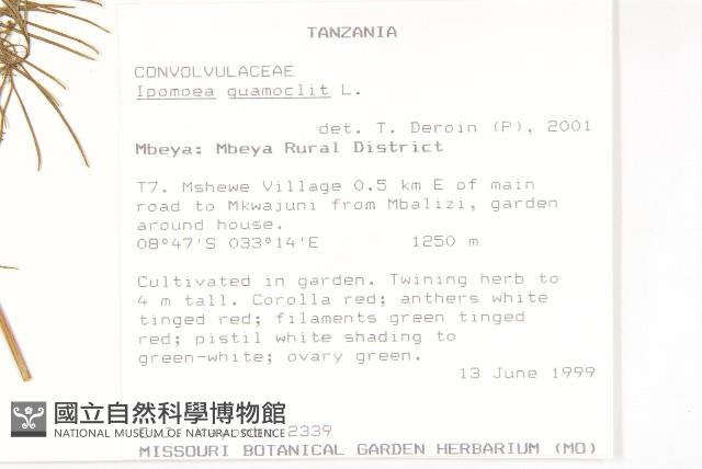 蔦蘿藏品圖，第2張