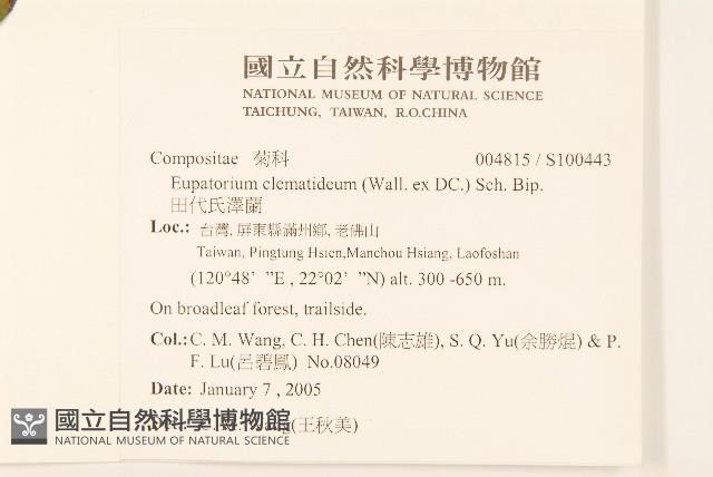 田代氏澤蘭藏品圖，第2張