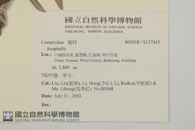 登錄號:S137443藏品圖，第2張