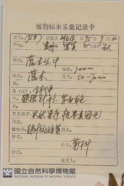 Accession Number:S047443 Collection Image, Figure 2, Total 3 Figures