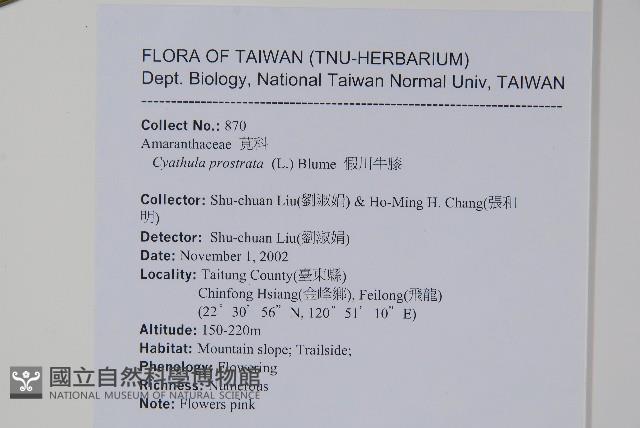 假川牛膝藏品圖，第2張