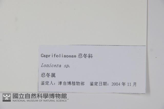 登錄號:S105143藏品圖，第2張