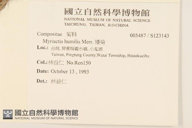 矮菊藏品圖，第2張