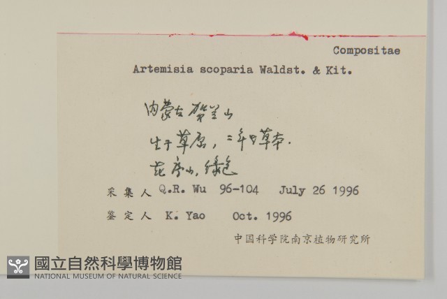 黃蒿藏品圖，第2張