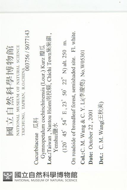 瓣瓜藏品圖，第2張