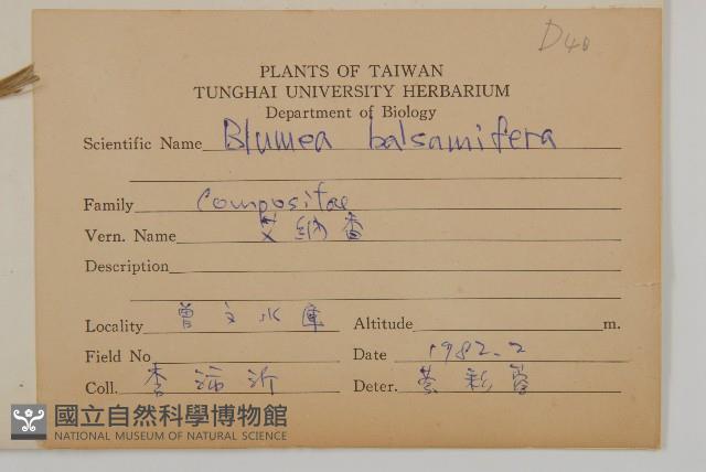 艾納香藏品圖，第2張