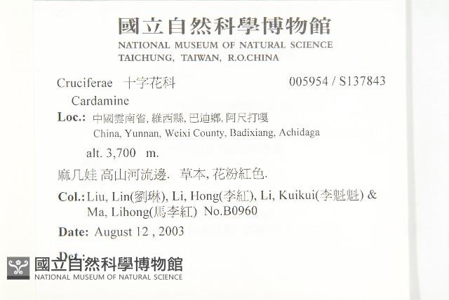 登錄號:S137843藏品圖，第2張