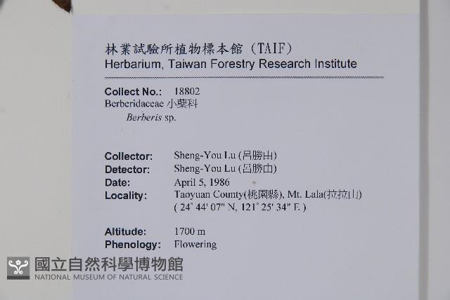 南湖小蘗藏品圖，第2張