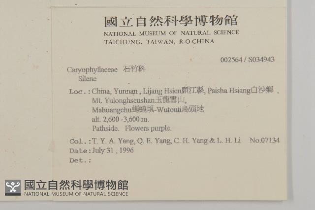 登錄號:S034943藏品圖，第2張