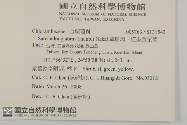 草珊瑚、紅果金粟蘭藏品圖，第2張