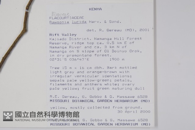 登錄號:S097543藏品圖，第2張
