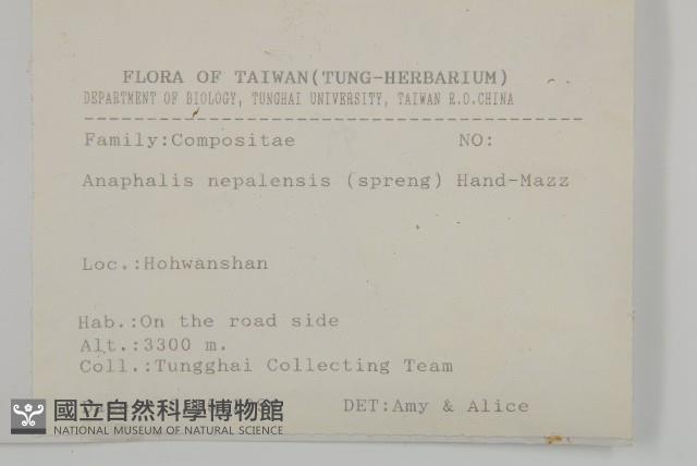 尼泊爾籟簫藏品圖，第2張