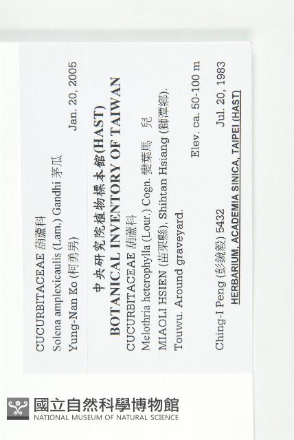 茅瓜藏品圖，第2張