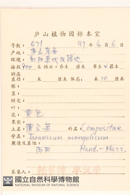 蒲公英藏品圖，第2張