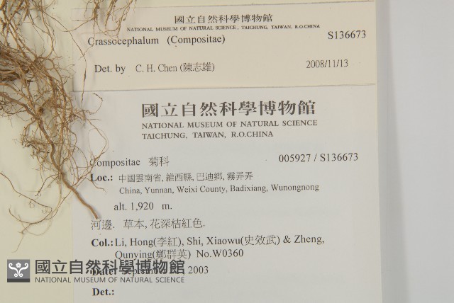 登錄號:S136673藏品圖，第2張