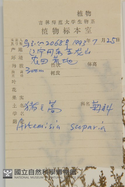 黃蒿藏品圖，第2張