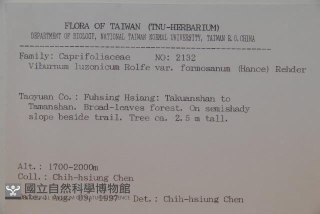 紅子莢迷藏品圖，第2張