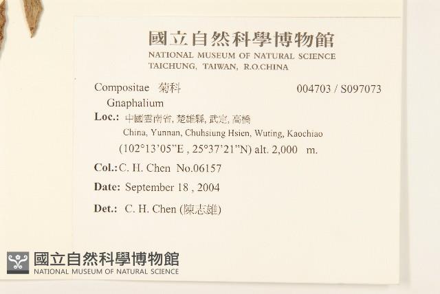 登錄號:S097073藏品圖，第2張