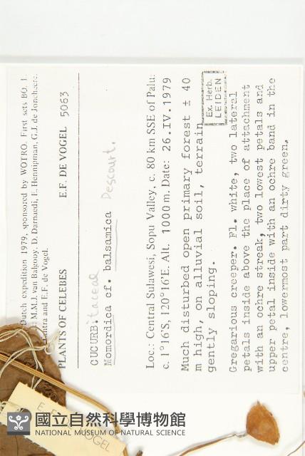 登錄號:S047073藏品圖，第2張