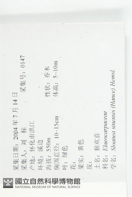 猴歡喜藏品圖，第2張