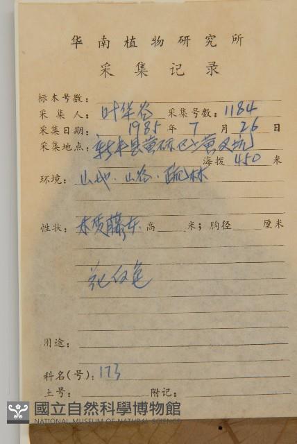 風車子藏品圖，第2張