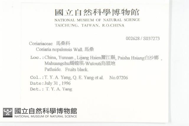 馬桑藏品圖，第2張