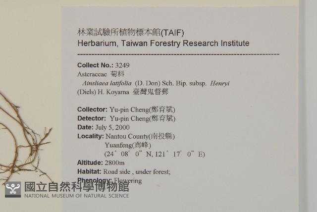 臺灣鬼督郵藏品圖，第2張