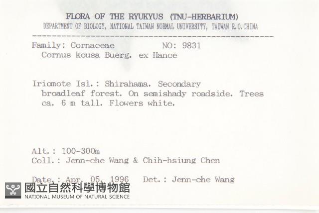 四照花藏品圖，第2張