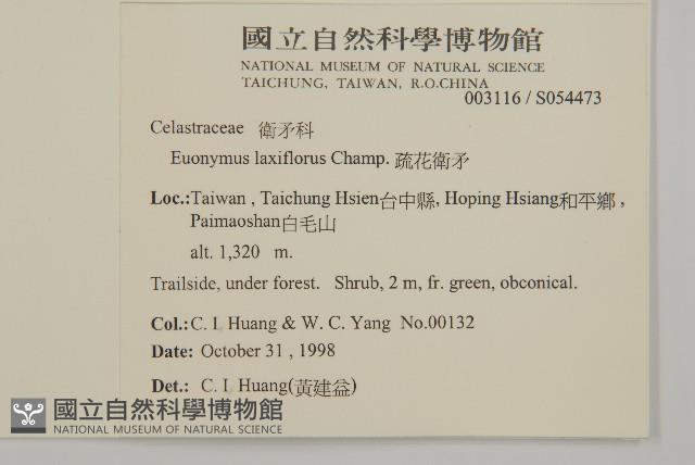 大丁黃藏品圖，第2張