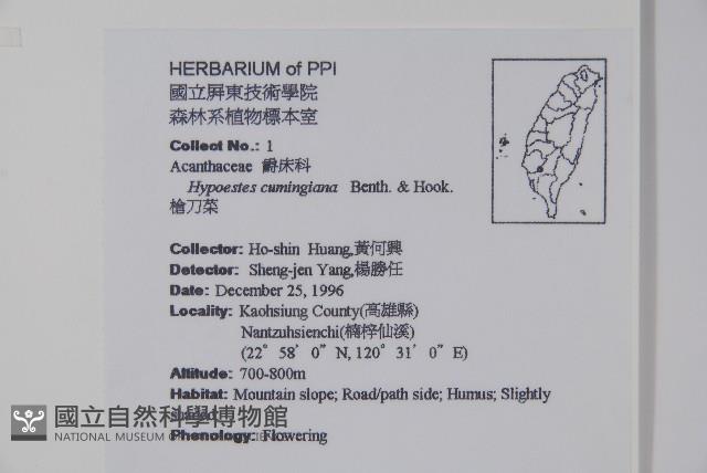 槍刀菜藏品圖，第2張