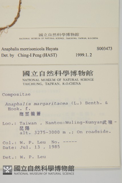 玉山抱莖籟簫藏品圖，第2張