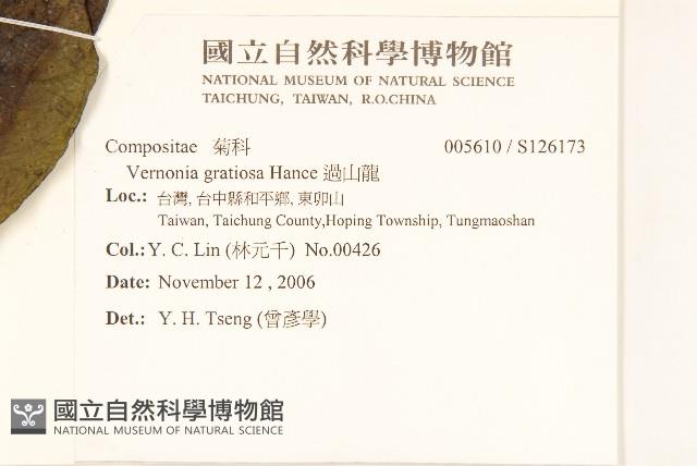 過山龍藏品圖，第2張