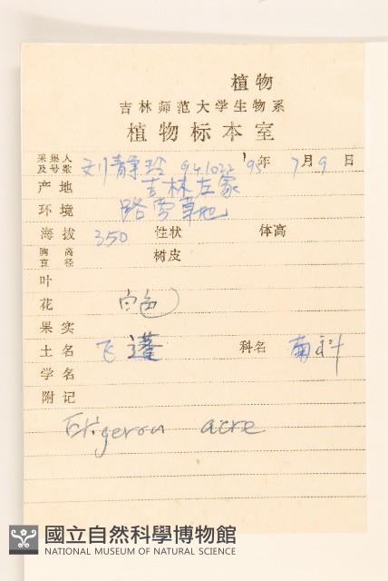 飛蓬藏品圖，第2張