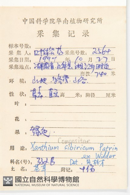 蒼耳藏品圖，第2張