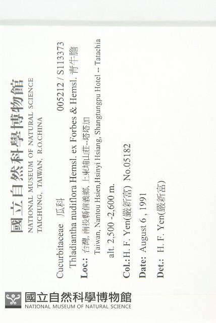 青牛膽藏品圖，第2張