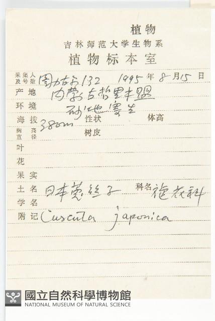 日本菟絲子藏品圖，第2張