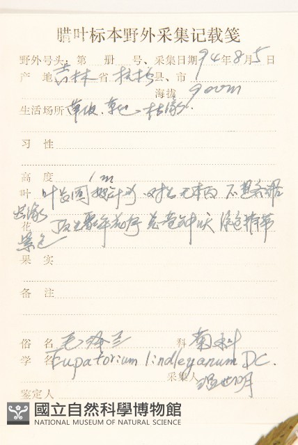 林氏澤蘭藏品圖，第2張